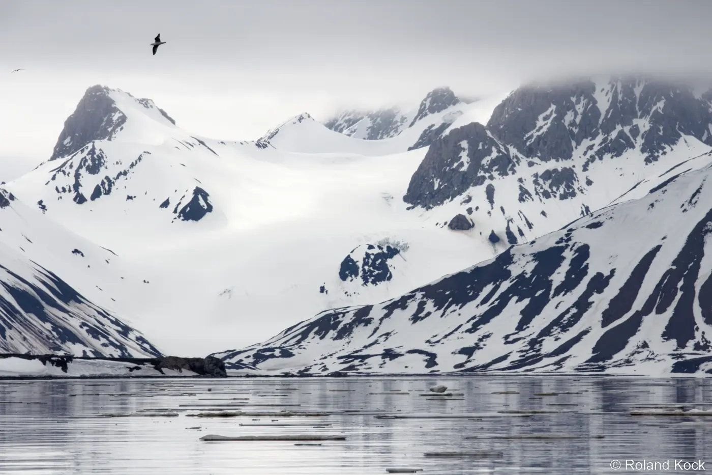 Gletscher in der Burgerbukta von Spitzbergen Foto: Roland Kock Gletscher in der Burgerbukta von Spitzbergen Foto: Roland Kock
