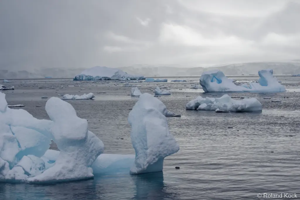 Eisberge vor Spitzbergen Foto: Roland Kock Eisberge vor Spitzbergen Foto: Roland Kock