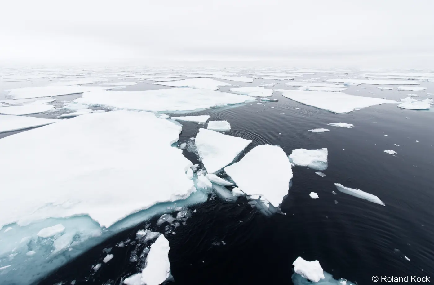 Packeisgrenze vor Spitzbergen Foto: Roland Kock