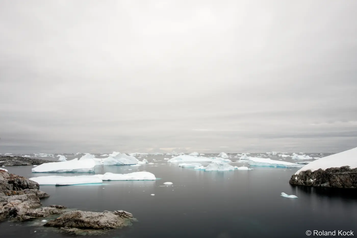 Eisbergfriedhof vor Petermann Island in der Antarktis Foto: Roland Kock