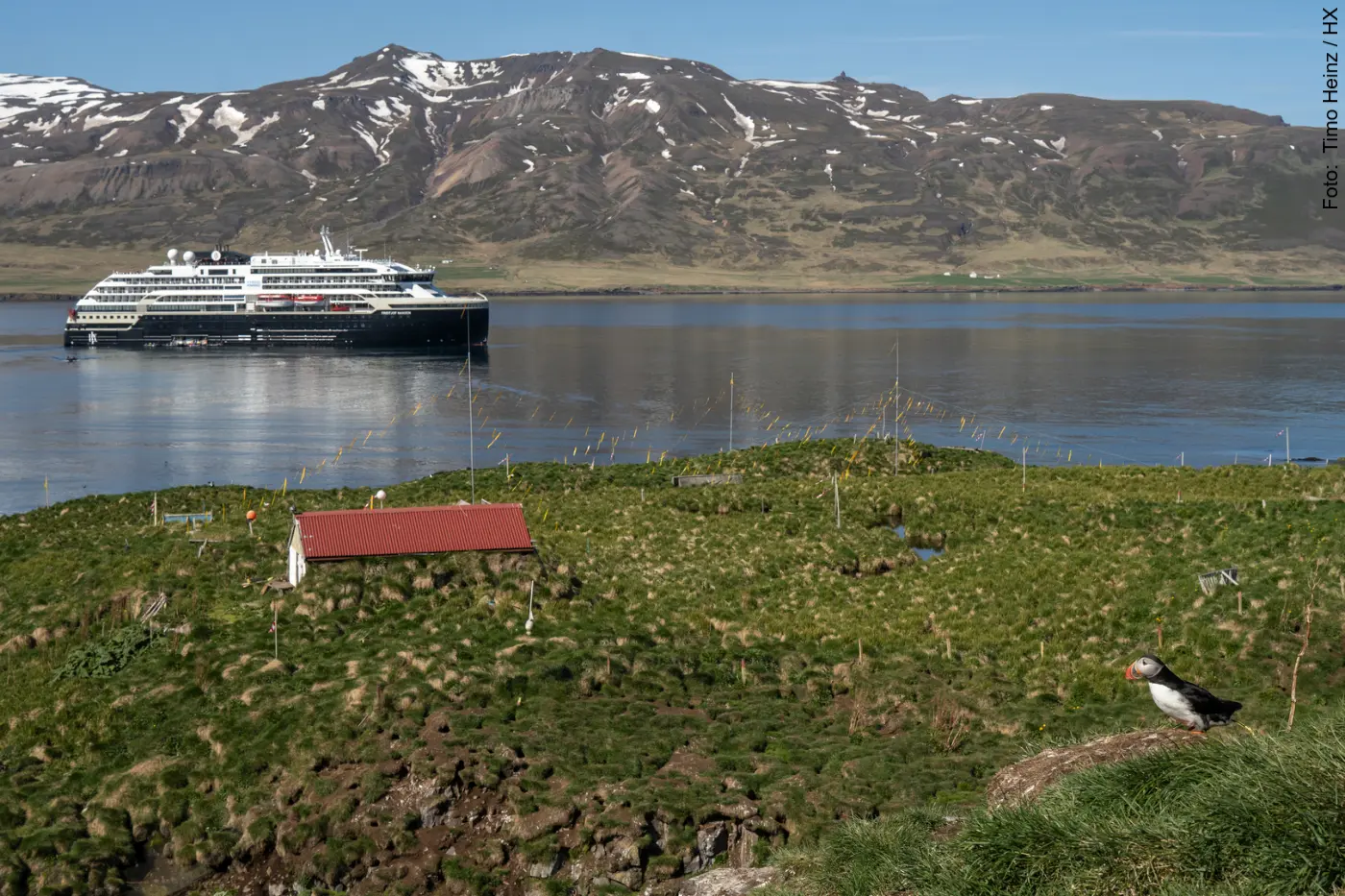 Lohnt sich eine Kreuzfahrt nach Island?
